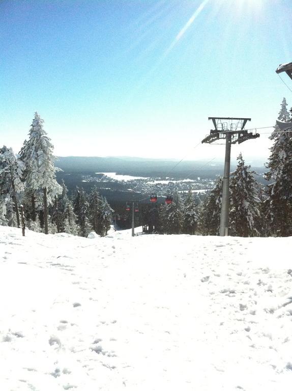 Concordia Harzapart Braunlage Kültér fotó
