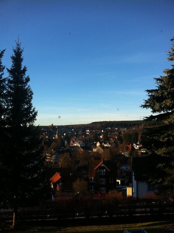 Concordia Harzapart Braunlage Kültér fotó